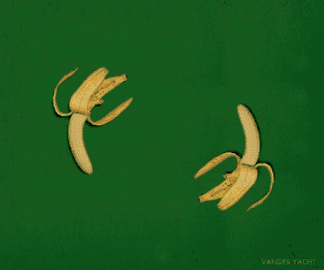 peeled bananas on a green background with the name vander yacht on the bottom