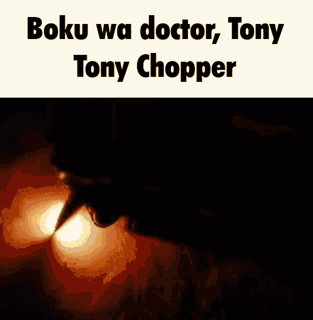 One Piece One Piece Chopper GIF - One Piece One Piece Chopper Boku Wa Doctor Tony Tony Choppa GIFs