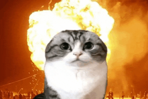 a cat is standing in front of an explosion and looking at it .