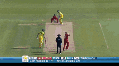 a cricket game is being played in front of an lg and pepsi sign