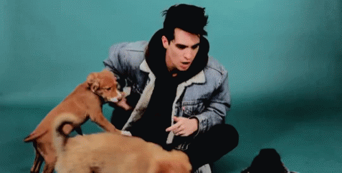 Brendon Urie Beebo GIF - Brendon Urie Beebo Panic At The Disco GIFs