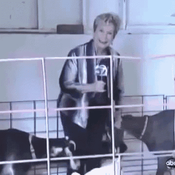 Would You Not Eat My Pants? GIF - Goats News Bite GIFs