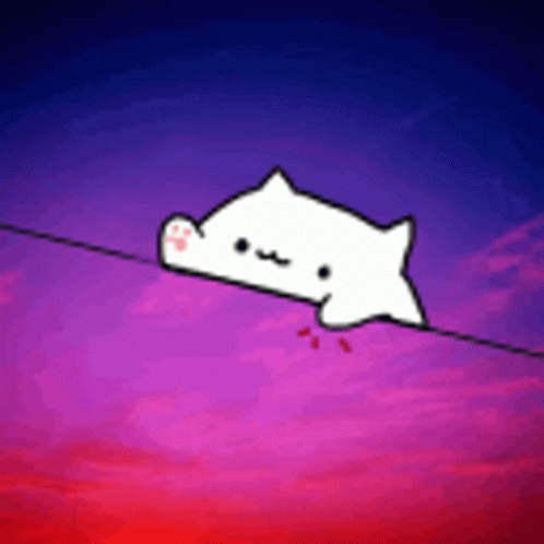 Bongo Cat Cat GIF - Bongo Cat Cat Animated GIFs