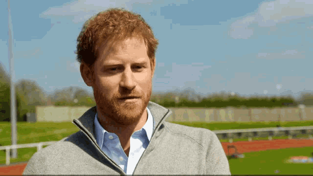 a man with a beard is wearing a grey sweater and a white shirt