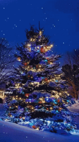 a christmas scene with a boy and girl looking out a window at a christmas tree