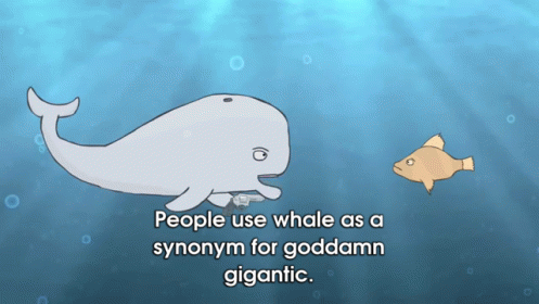 How Big Are Whales? GIF - Depressed Whale Whale Fish GIFs
