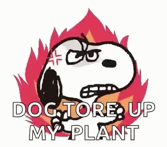 Snoopy Rage GIF - Snoopy Rage Angry GIFs