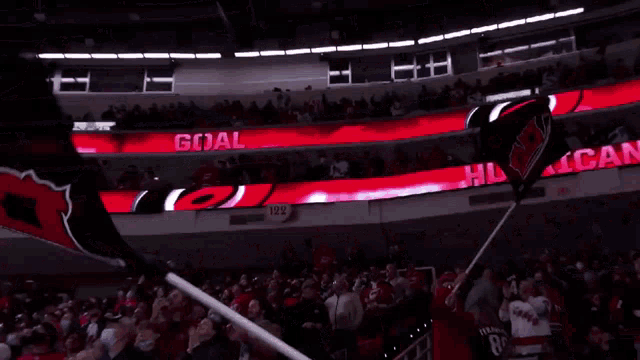 a hurricanes fan holds a flag in a stadium