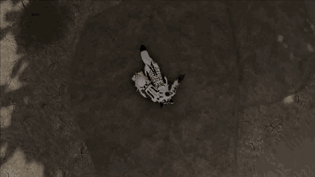 a black and white drawing of a zebra on the ground