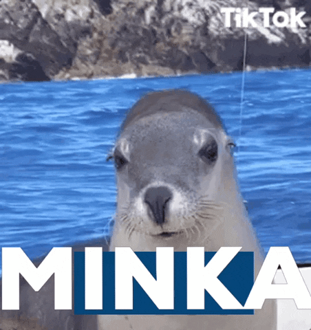 Minka GIF - Minka GIFs