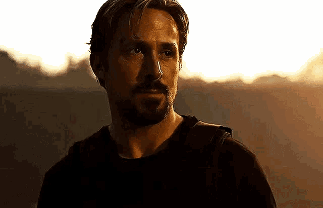 Court Gentry GIF
