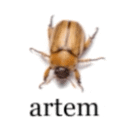 a close up of a bug with the word artem written below it