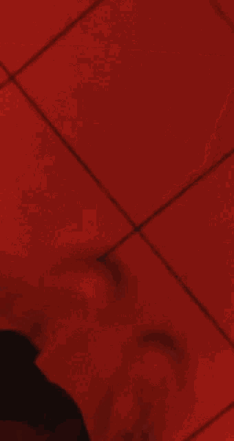 a woman in lingerie is taking a selfie in a red room