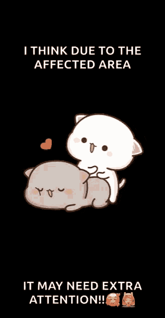 a cat laying on top of another cat with the words i think due to the affected area it may need extra attention !