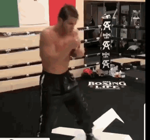 Canle Boxing GIF - Canle Boxing Practice GIFs