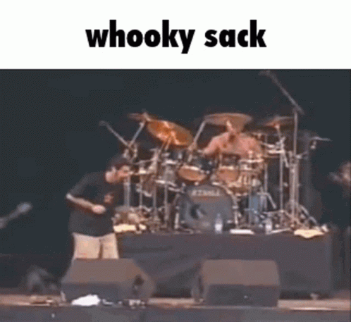 Whooky Sack Whooky GIF - Whooky Sack Whooky Daron Malakian GIFs