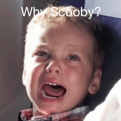 Scooby Why GIF - Scooby Why GIFs