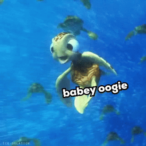 Cotr Oogway GIF - Cotr Oogway Oogie GIFs