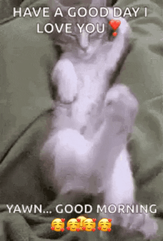 a cat is sitting on a bed with a heart on its paw and says `` have a good day i love you '' .