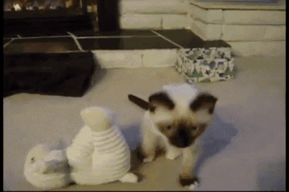 two kittens are playing with a stuffed animal on the floor .