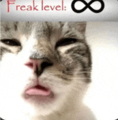 a close up of a cat 's face with the words freak level written below it