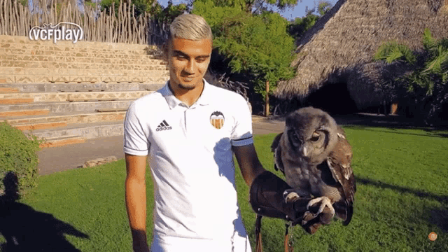 a man in an adidas shirt holds an owl in his hand