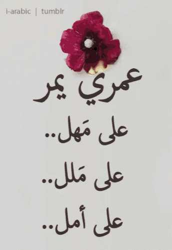a picture of arabic writing with a flower on top