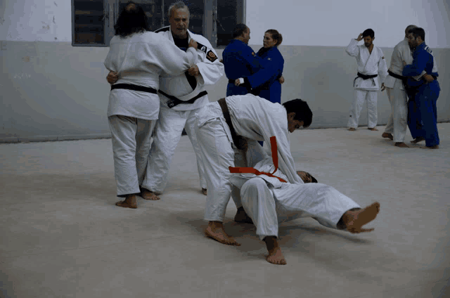 a group of judo fighters are practicing their moves
