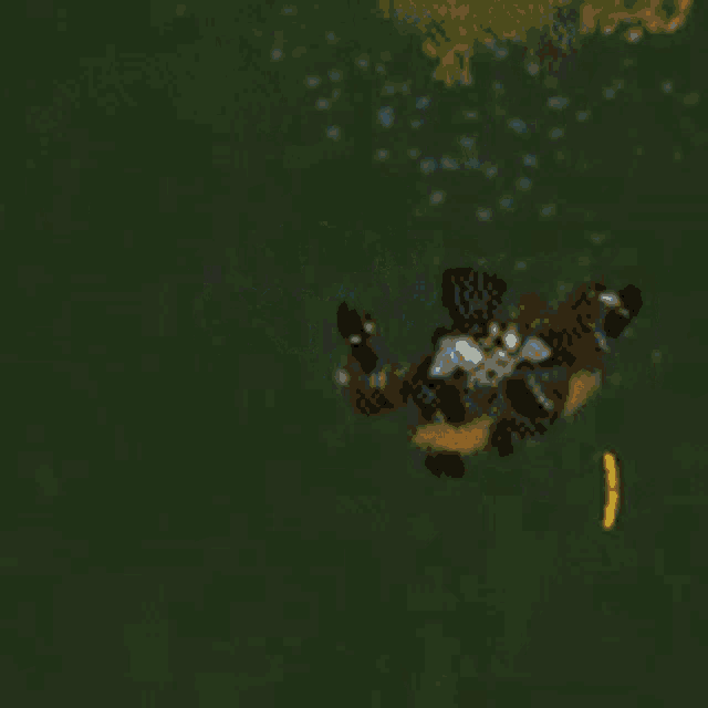 a bunch of bubbles are floating on a green surface