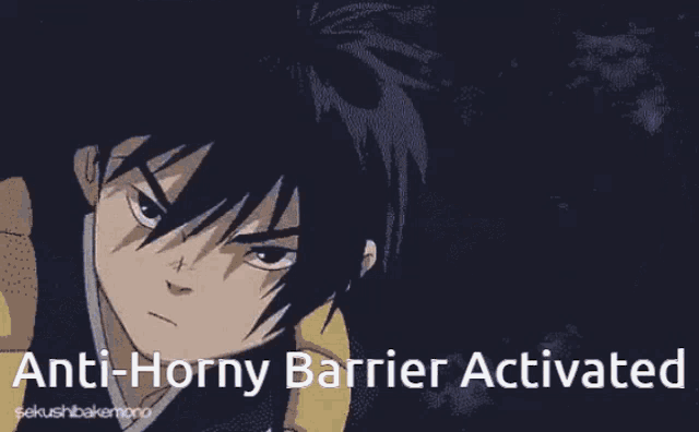 a cartoon of a man holding a sword with the words " anti-horny barrier activated " below him