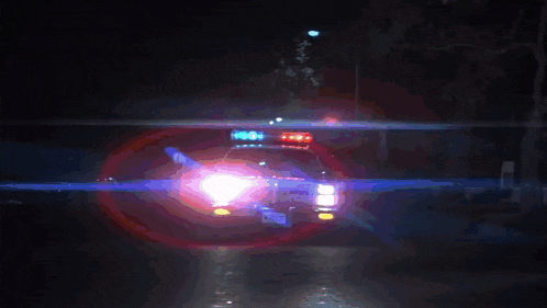 a police car with a license plate that says n 1337