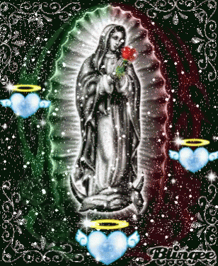 Virgen De Guadalupe Praying GIF - Virgen De Guadalupe Praying Red Rose GIFs