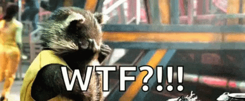 Wtf Is Going On Wth GIF - Wtf Is Going On Wth Rocket Raccoon GIFs