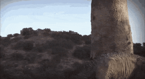 a large rock in the middle of a desert
