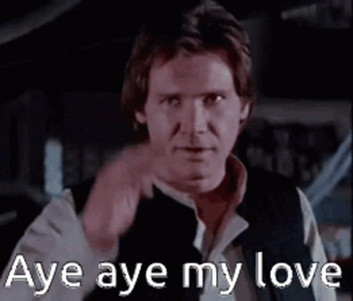 Aye Aye My Love GIF - Aye Aye My Love Han Solo GIFs