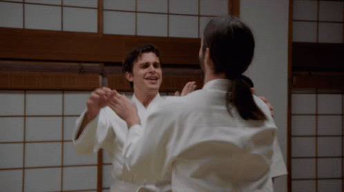 Cat Fight Stop It GIF - Cat Fight Stop It Messing Around GIFs