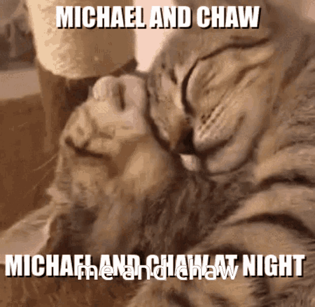 Michaw Michael Wheely GIF - Michaw Chaw Michael Wheely GIFs