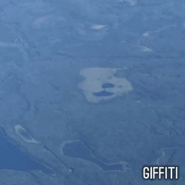 Deal With GIF - Deal With It GIFs