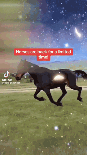 horses are back for a limited time in a tiktok video