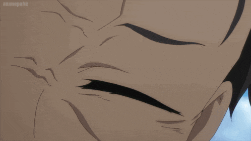What The Hell Did You Just Say Natsuki Subaru GIF