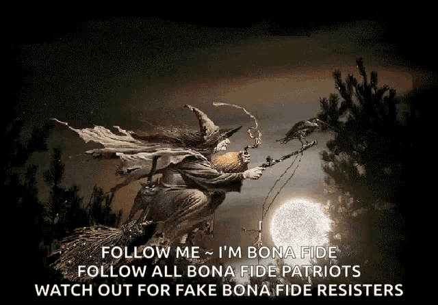 a poster of a witch on a broom with the caption follow me