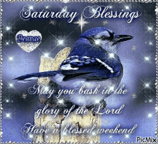 saturday blessings may you bask in the glory of the lord have a blessed weekend pic mix