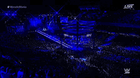 a wrestler is standing on a stage with a sign that says wrestlemania