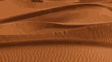 a close up of a desert landscape with sand dunes