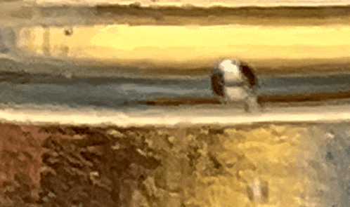a close up of a painting with a few spots of yellow and brown
