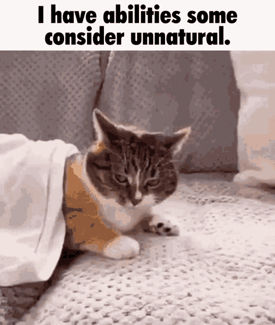 I Have Abilities Some Consider Unnatural Unnatural Abilities GIF - I Have Abilities Some Consider Unnatural Unnatural Abilities Cat GIFs