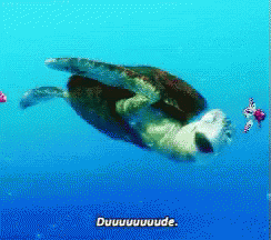 Finding Nemo Turtle GIF - Finding Nemo Turtle Dude GIFs