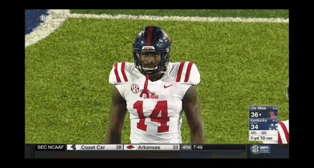 a football player wearing a number 14 jersey stands on the field