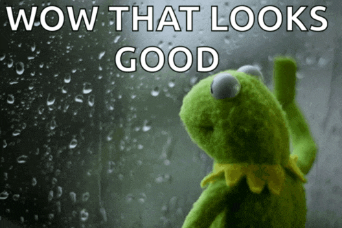 kermit the frog is looking out a window with the words wow that looks good above him