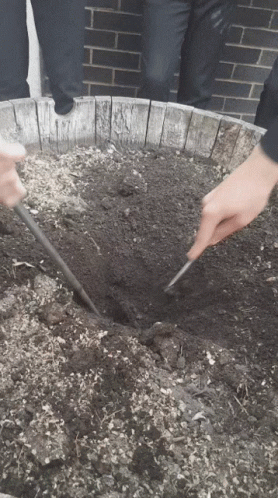 Dirt Digging GIF - Dirt Digging School GIFs